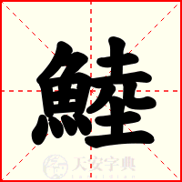 鯥