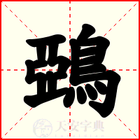 鵶