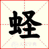 蛏