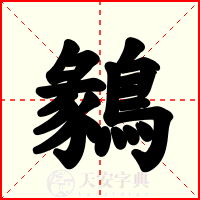 鶨
