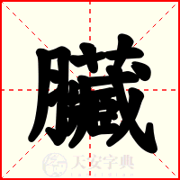 臟