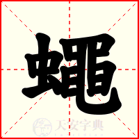 蠅