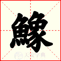 鱌