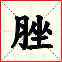 脞
