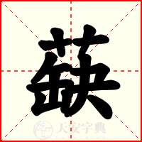 蒛