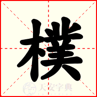 樸