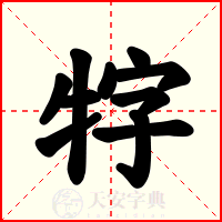 牸