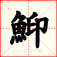 鮣