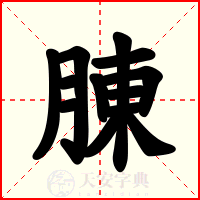 腖