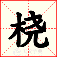桡