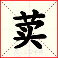 荬