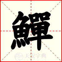 鱓