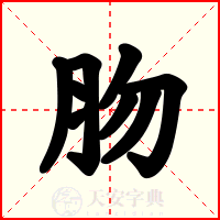 肳