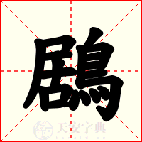 鶋