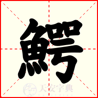 鰐