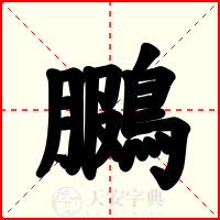 鵩