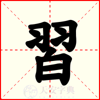 習