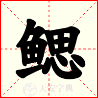鳃