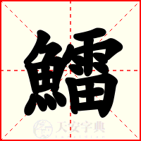 鱩