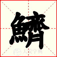 鱭