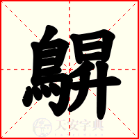 鵿