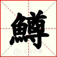 鱒