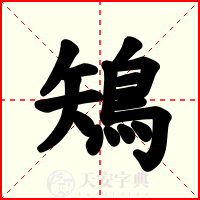 鴙