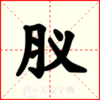 肞