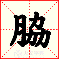 脇