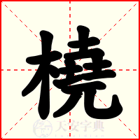 橈