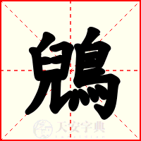 鶂