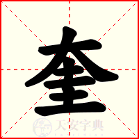 奎