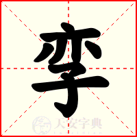 孪