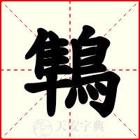 鶽
