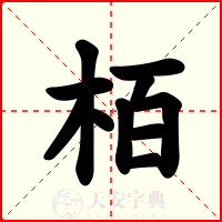 栢
