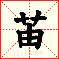 苖