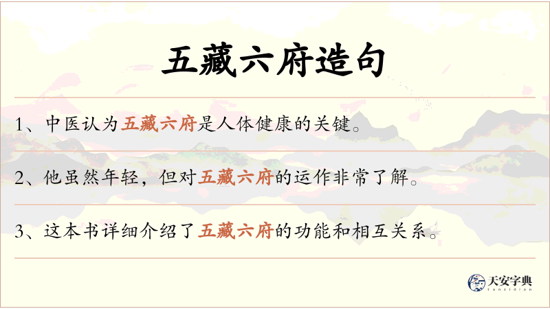 五藏六府