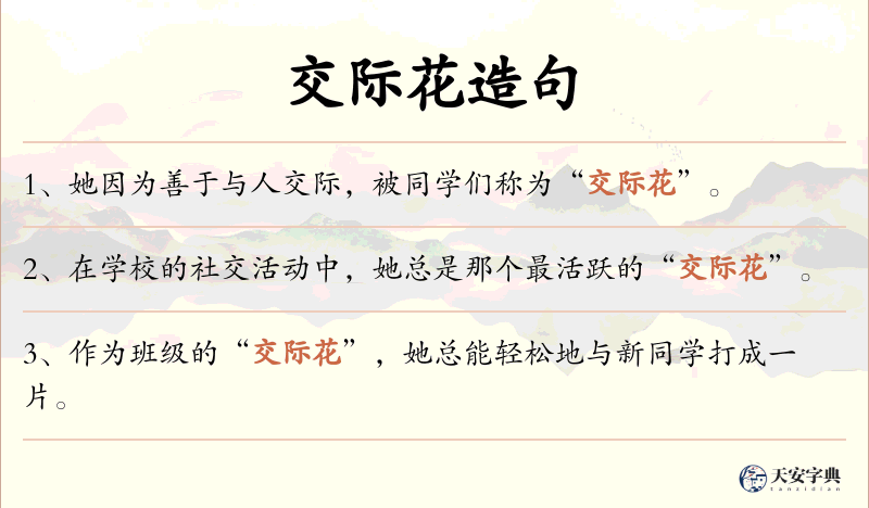 交际花