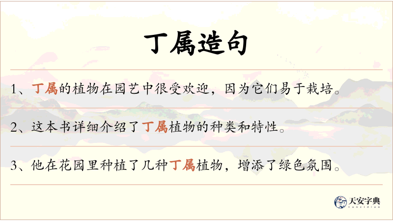 丁属