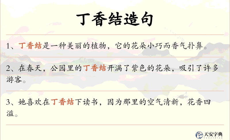 丁香结