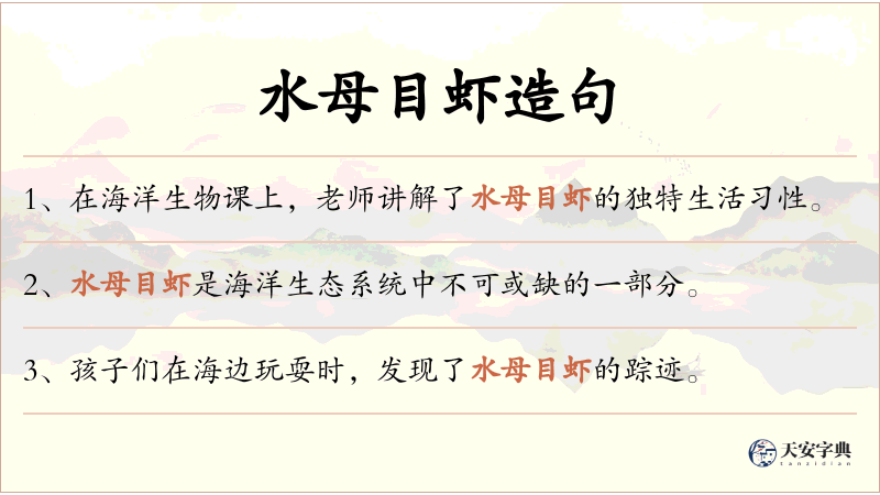 水母目虾