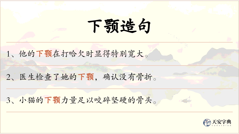 下颚