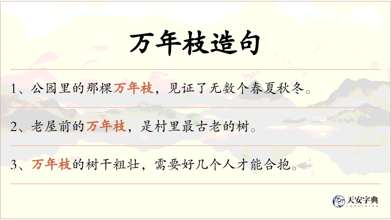 万年枝