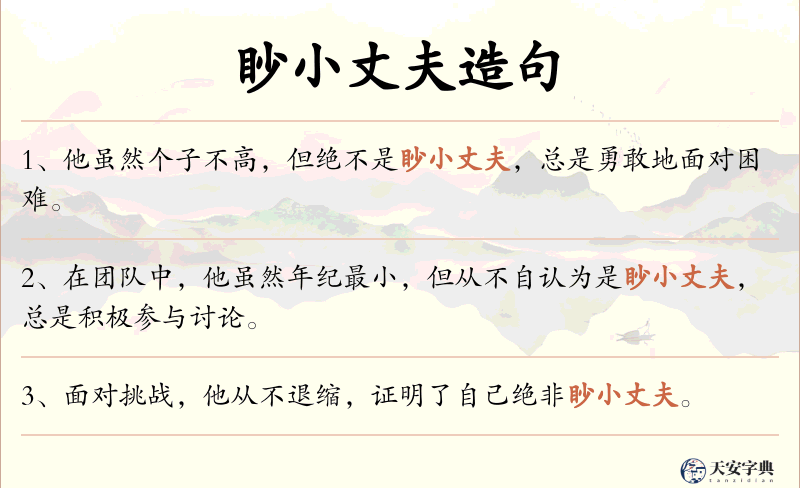 眇小丈夫