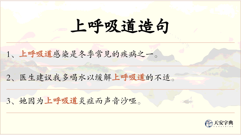上呼吸道
