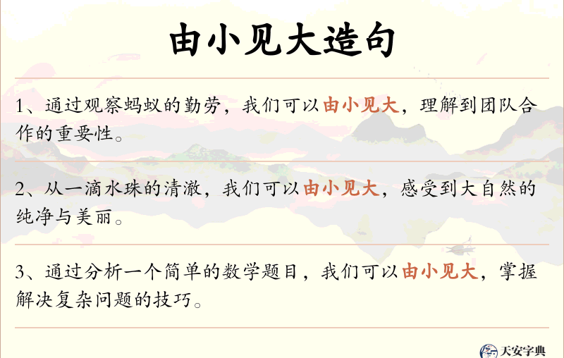 由小见大