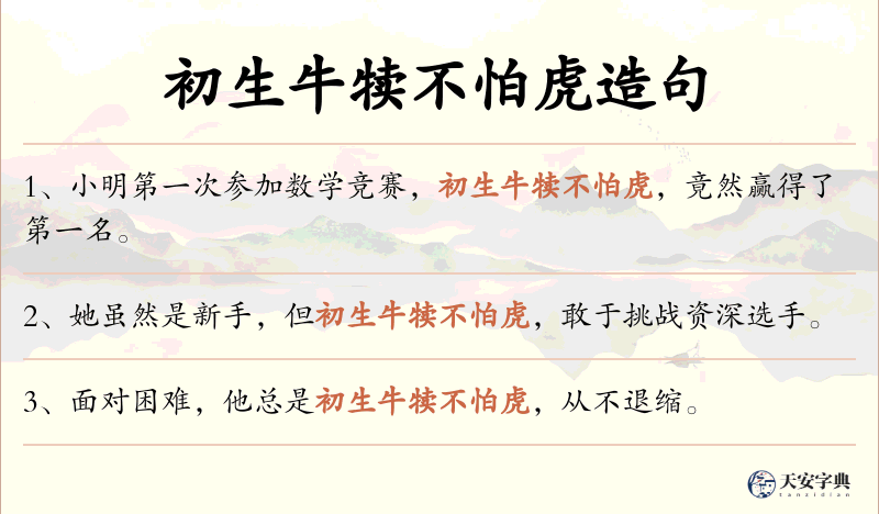 初生牛犊不怕虎