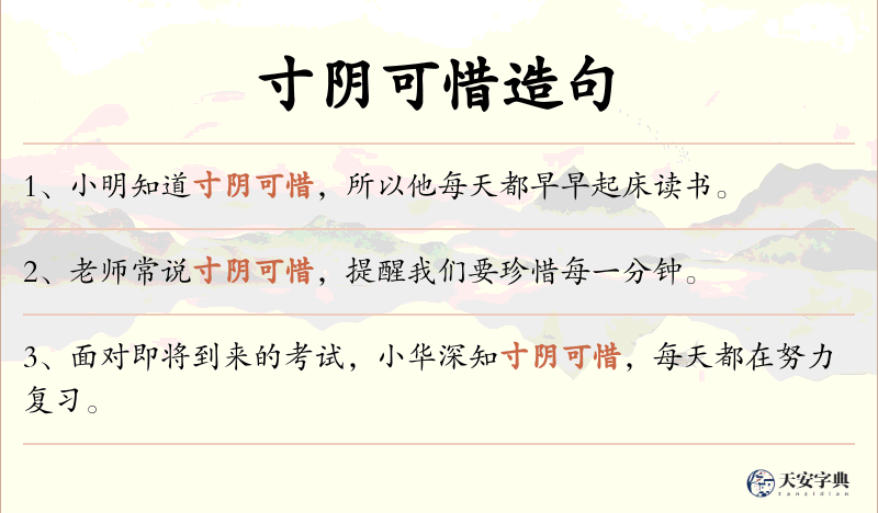寸阴可惜