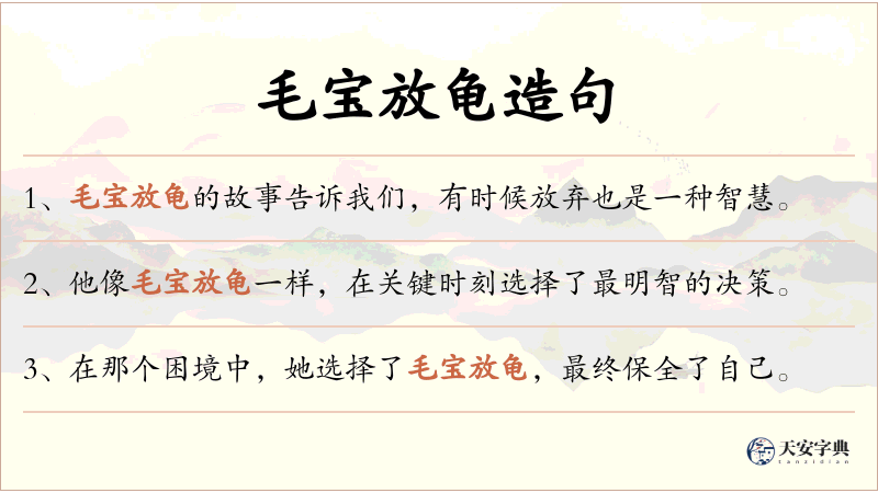 毛宝放龟