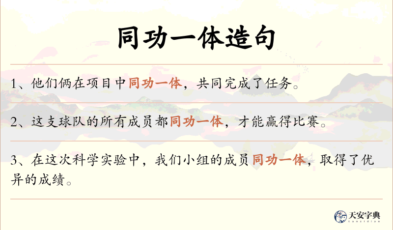 同功一体